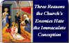 Three Reasons Church's Enemies Hate Immaculate Conception