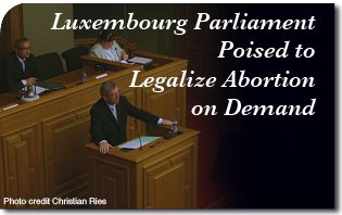 Luxembourg_Parliament_Poised_to.jpg
