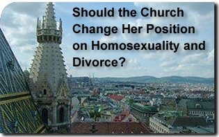 Should the Church Change Her Position on Homosexuality and Divorce? Vienna Cathedral