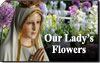 The Marvelous World of Our Lady’s Flowers