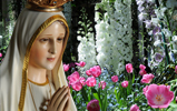 The Marvelous World of Our Lady’s Flowers