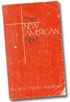 Campaign Against Priestly Celibacy Scripture Saint Paul Catholic Origins