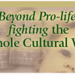 Beyond Pro-life, Fighting the Whole Cultural War