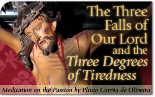  The Three Falls of Our Lord and the Three Degrees of Tiredness