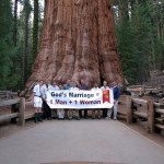 Sept 14 - Sequoia National Park