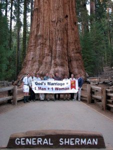 Sept 14 - Sequoia National Park