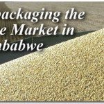 Repackaging the Free Market in Zimbabwe 2