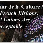Avenir de la Culture to the French Bishops: Civil Unions Are Unacceptable 2