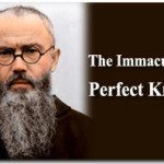 Saint Maximilian Kolbe: The Immaculata’s Perfect Knight 5