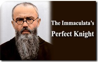 Saint Maximilian Kolbe: The Immaculata’s Perfect Knight