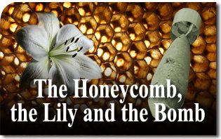 The Honeycomb, the Lily and the Bomb