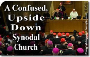 A Confused, Upside Down “Synodal Church” 1