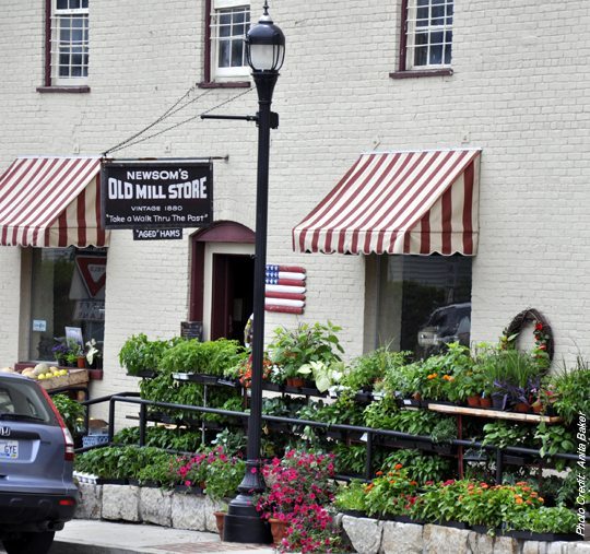 “The Ham Lady” and the Art of Ham Curing The American TFP