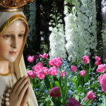 The Marvelous World of Our Lady’s Flowers