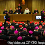 Papal Condemnations Show That Democratization Is Not the Solution to the Abuse Scandals 1