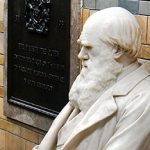 Yale Professor Has Dramatic Conversion From Darwinism