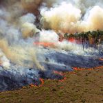 What Eco-Radicals Want You to Believe About the Amazon Fires!