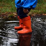 Administration Saves Puddles and Streams From Government Control