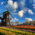 Why Can’t They Make Beautiful Windmills?