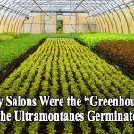 Nineteenth Century Salons Were the “Greenhouses” Where British Catholicism and the Ultramontanes Germinated and Flourished