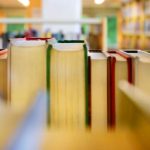 Public Libraries Everywhere are Now Battlefields for Children’s Innocence