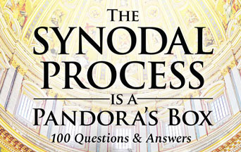 «Il processo sinodale è un vaso di Pandora»: un grido d'allarme che suscita speranze