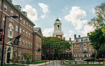 From Harvard Yard to Southern Charm: Students Flee in DEI Exodus