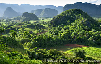 Forced Labor in Paradise: How Cuba’s Prisoners Supply European Markets
