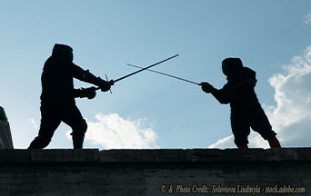 The Art of Political Fencing in an Age of Polarization