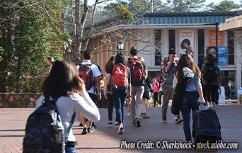 Young Americans Are Self-Identifying as: Normal