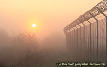 A Review of the Political Panorama in 2025—the Chaotic Path to a Multipolar World