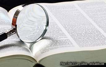  In the Times New Roman Font War: I’m on Charlemagne's Side