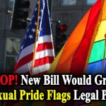 STOP! New Bill Would Grant Homosexual Pride Flags Legal Protection
