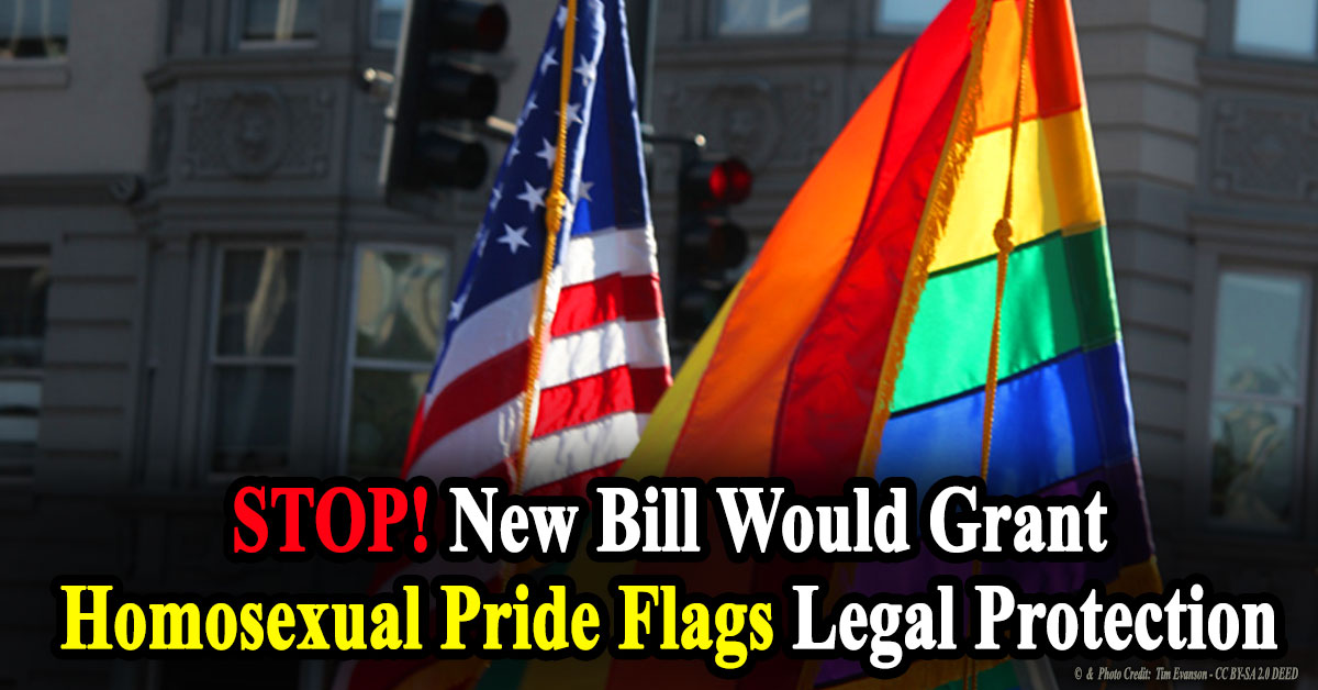 STOP! New Bill Would Grant Homosexual Pride Flags Legal Protection