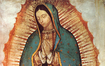 Stop Weaponizing an Image of Our Lady to Protest Against Immigration Laws