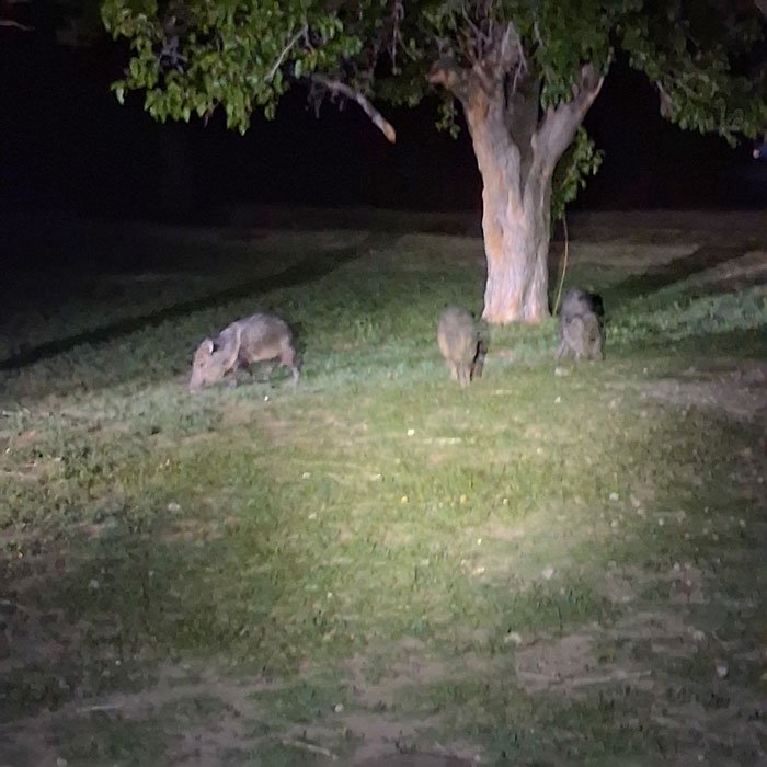 2026 TFP Spring Camp: Leadership is Born in Adversity