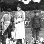 Where the Virtue of Purity is Disregarded, Social Order Will Crumble—The Lesson of Saint Maria Goretti