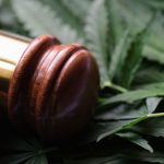 In the Struggle Over Marijuana Use, Facts Reveal its Dangers