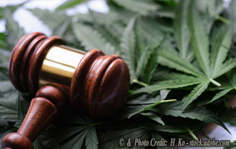 In the Struggle Over Marijuana Use, Facts Reveal its Dangers