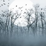5 Reasons Why a Catholic Should Not Celebrate Halloween