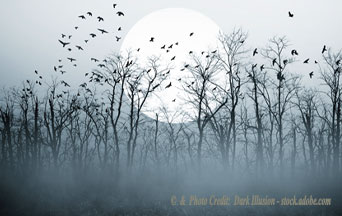 5 Reasons Why a Catholic Should Not Celebrate Halloween