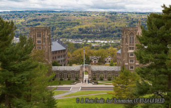The Cornell Case Hides What Everyone Knows