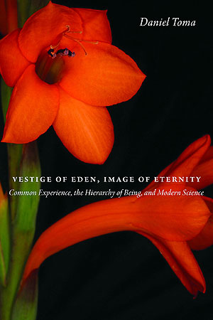 Order Here How to Rediscover the Order of the Universe in a Postmodern World