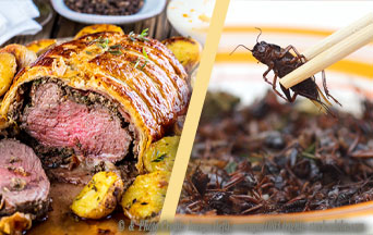 Sacrality or Vulgarity