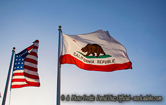 California’s $20 Minimum Wage: A Lesson in Economic Reality