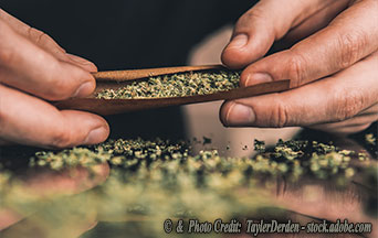 The High Price of “Harmless” Fun